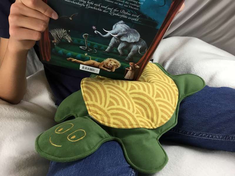 Elja® Schildkröte Feodor